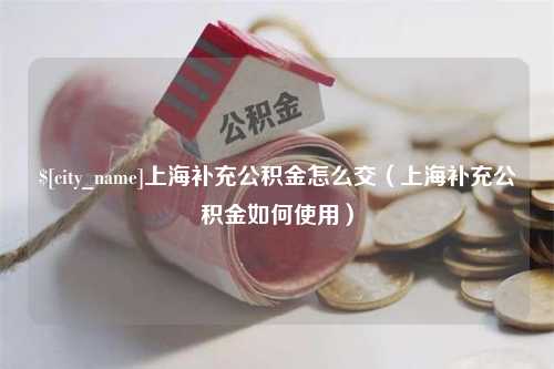 汝州上海补充公积金怎么交（上海补充公积金如何使用）